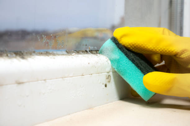 Best Mold Remediation for Specific Building Types in Beggs, OK