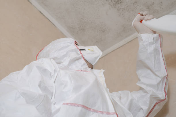 Best Kitchen Mold Remediation in Beggs, OK